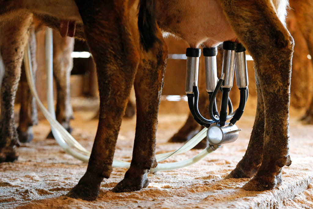  (AP Photo/Robert F. Bukaty, File)