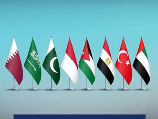 Foreign ministers of UAE, Turkey, Egypt, Jordan, Indonesia, Pakistan, Saudi Arabia, and Qatar call for international action against Israeli policies.