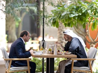 UAE and Egyptian Presidents review bilateral ties and regional developments