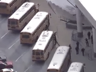 Student shot in a Maryland high school and another student in custody: Police