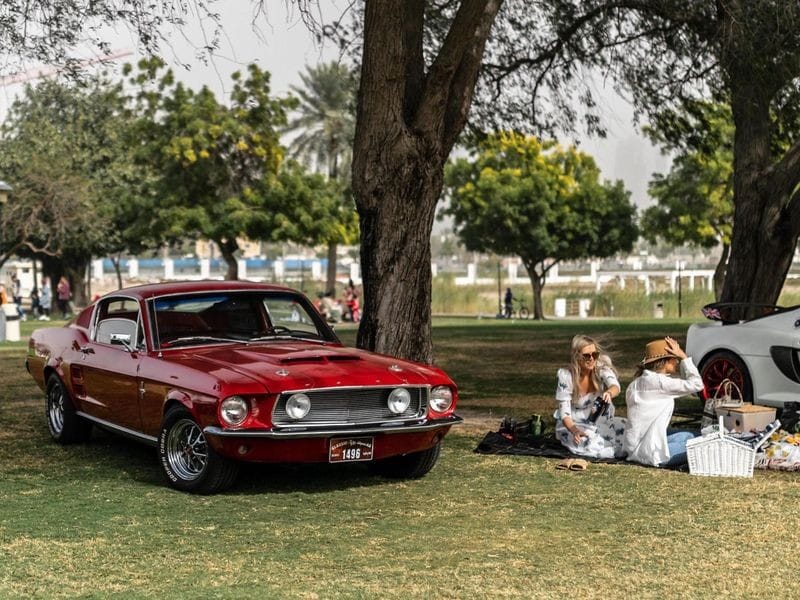 DUBAI GRAND PICNIC