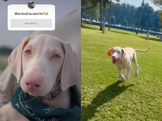 Sheikh Hamdan asks residents to help name a male puppy