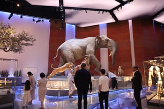 Abu Dhabi Natural History Museum offers a journey through time
