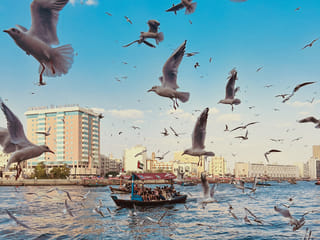 Readers capture UAE’s natural beauty in stunning photos