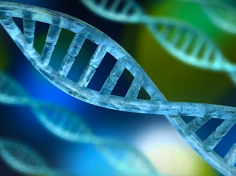 UAE unveils breakthrough gene therapy projects to treat autism and rare brain disorders in children