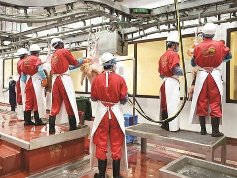 Maintenance work has been completed across equipment and facilities, while additional skilled butchers have been deployed to support operations. 