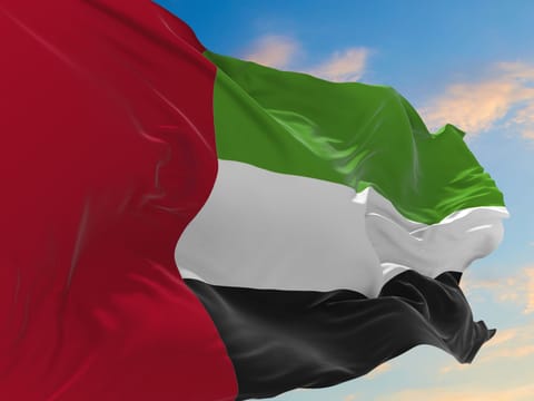 UAE, other Arab countries stand against controversial US envoy statements backing Israeli control