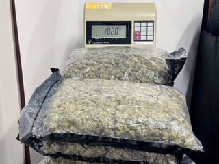 Passenger caught smuggling 18kg marijuana through Dubai airport