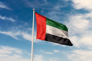 UAE expresses solidarity with Türkiye, conveys condolences over military aircraft crash