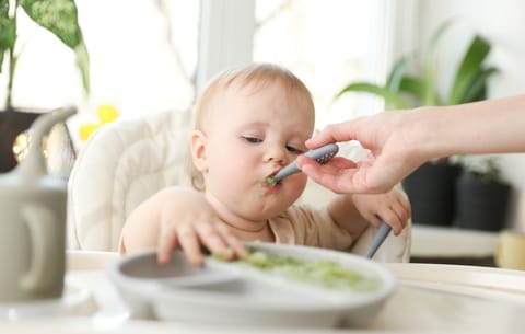 Nutricia Danone recalls selected Bebelac and Aptamil batches. Exposure to the toxin may lead to symptoms appearing between 30 minutes and six hours after consumption.
