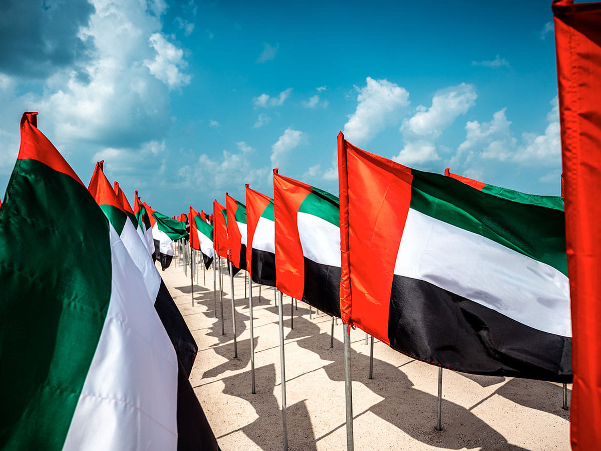 UAE flag