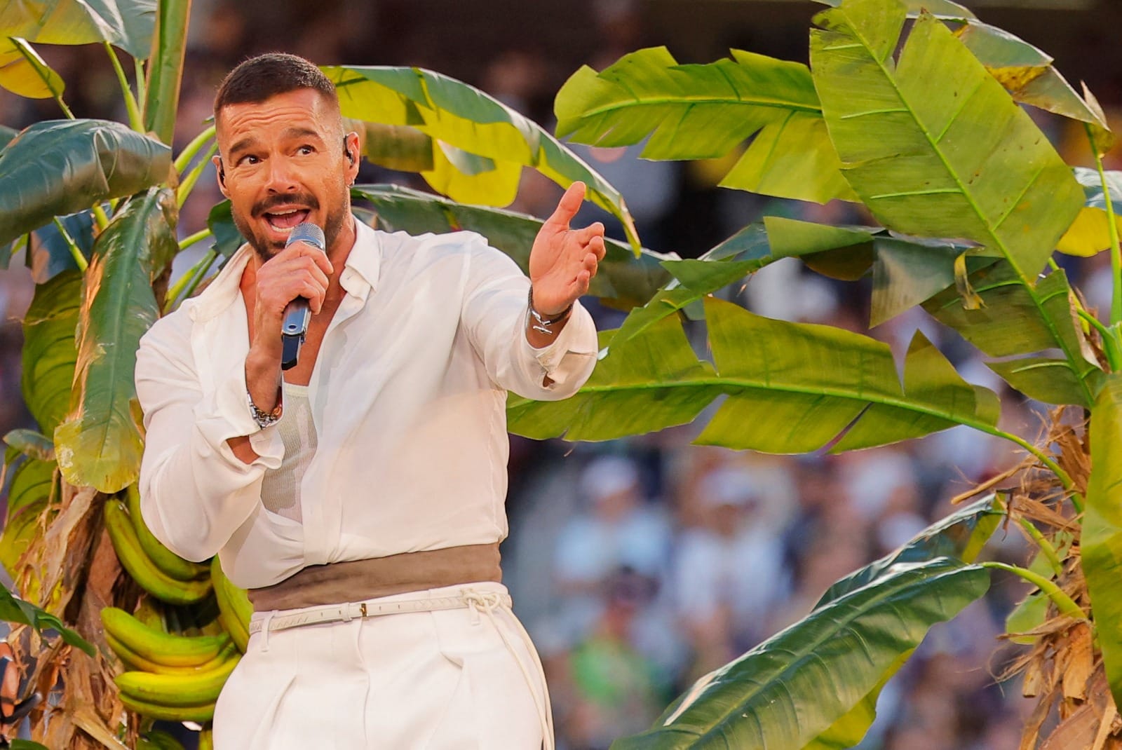 Ricky Martin