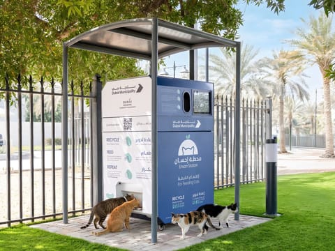 Dubai Municipality launches ‘Ehsan Stations’ initiative to feed stray animals