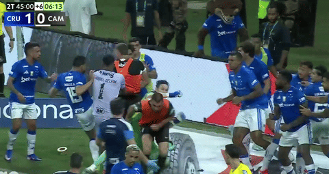 Brawl in Brazil football