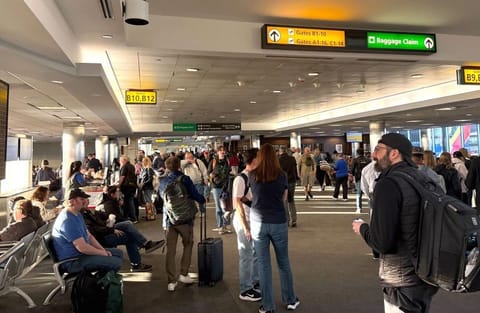 US travel disruption: Chemical odour stops flights at four Washington DC airports