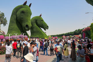 Free entry for families at Miracle Garden on weekdays