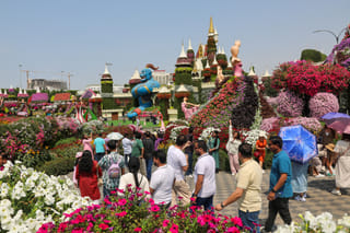 UAE residents throng Dubai Miracle Garden for free entry 