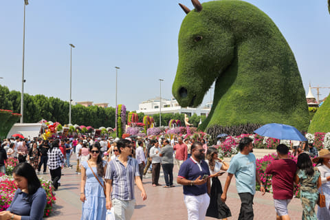 UAE residents throng the  Dubai Miracle Garden as from March 15 to March 31, all residents can enter the garden for free by presenting a valid Emirates ID at the entrance. 
