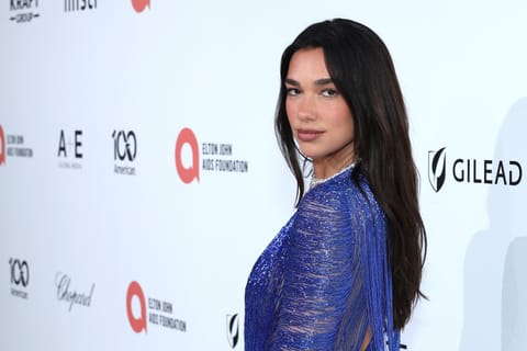 Her lawyers argue the use went beyond simple imagery, claiming it crossed into copyright and trademark infringement, as well as violation of her publicity rights