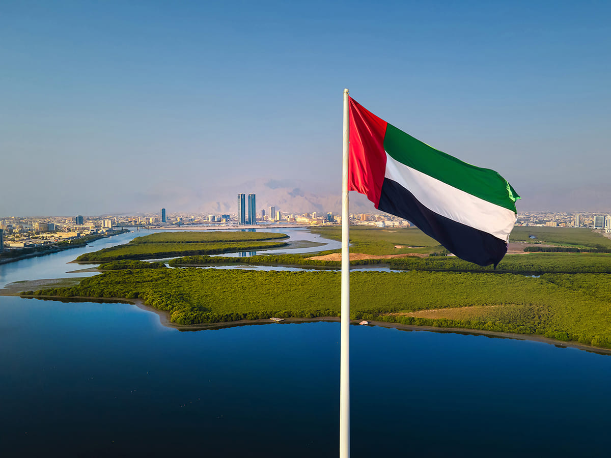 UAEflag