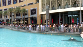 Eid in Dubai: Vibrant scenes reflect city’s dynamism