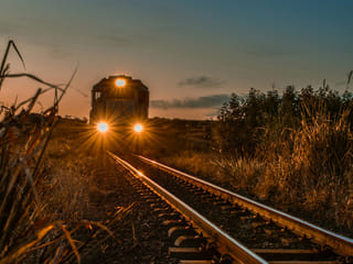 No passengers hurt as rare herd crosses tracks in protected area.