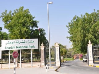 Sharjah shuts parks, medical fitness centres amid unstable weather