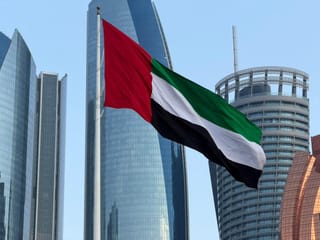 UAE flag