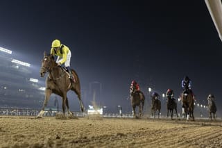 Dubai World Cup: Giants clash early in trackwork