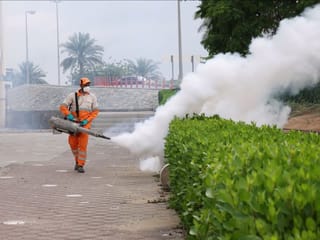 Sharjah launches campaign to disinfect rainwater pools