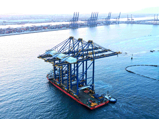 DP World