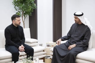 UAE and Ukrainian Presidents discuss cooperation and regional developments