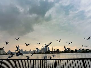 UAE will see unsettled weather over the coming days