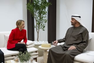 UAE President, Italian PM discuss regional developments