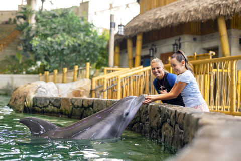  SeaBloom activation is running daily until 26 April