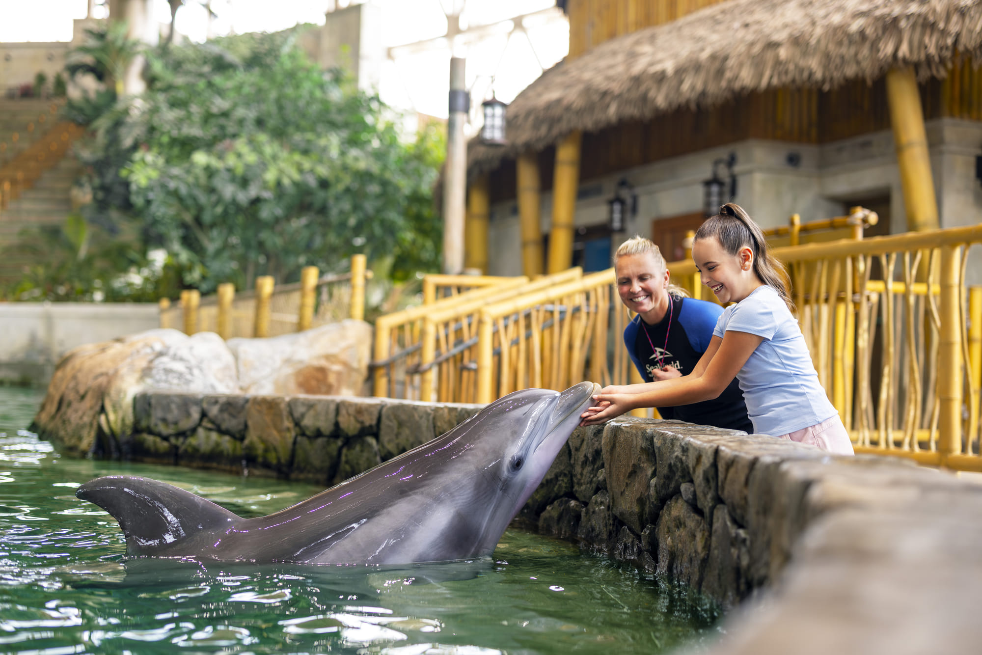 SeaBloom activation is running daily until 26 April
