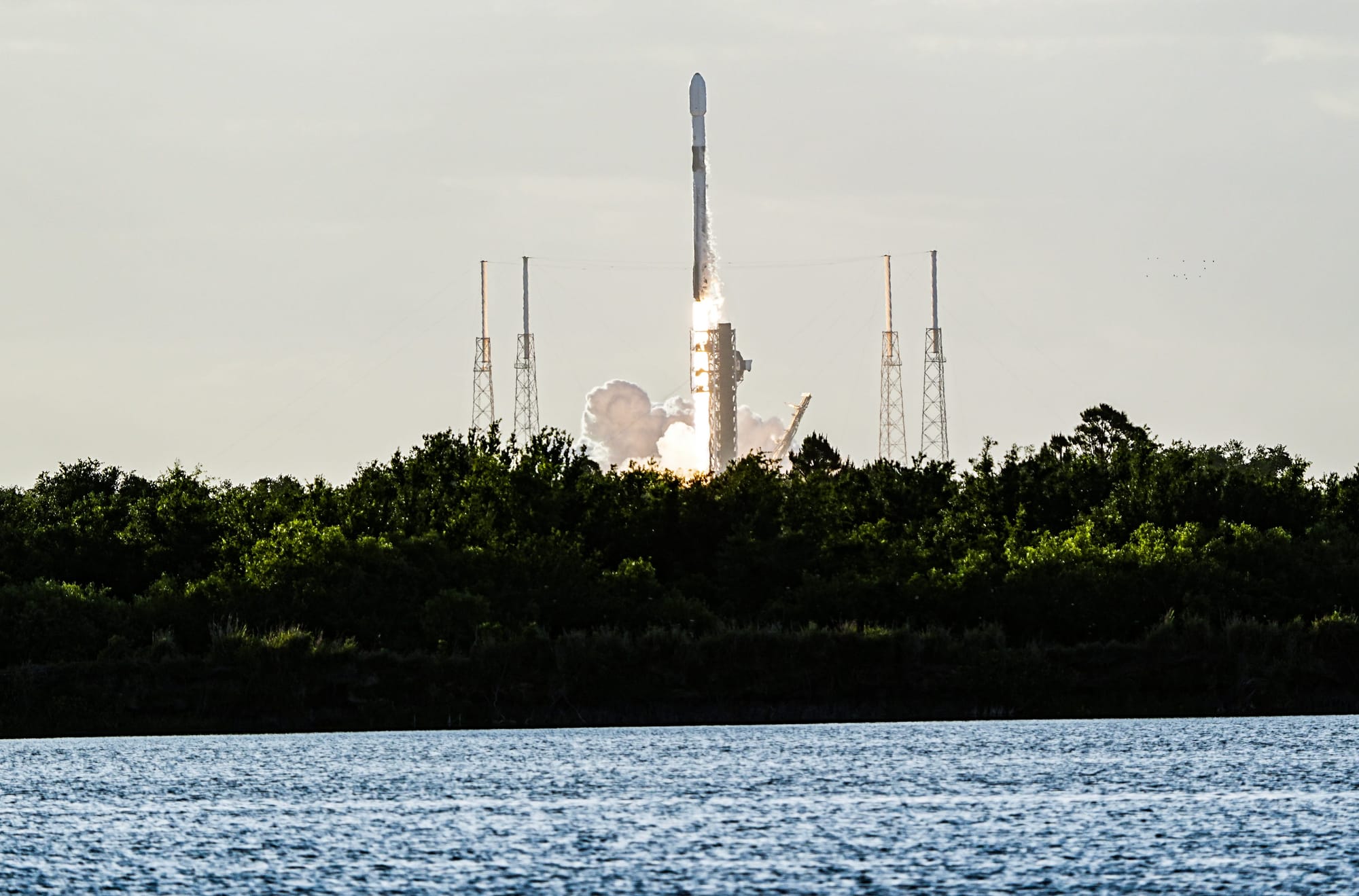 Space X