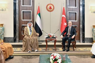 Peace requires decisive action, not rhetoric, to protect stability: UAE