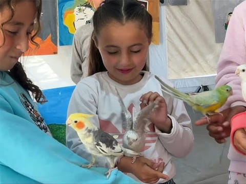 Animals bring comfort and joy to Gaza children in healing sessions