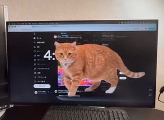 What is the 'viral cat' gatekeeper extension? 