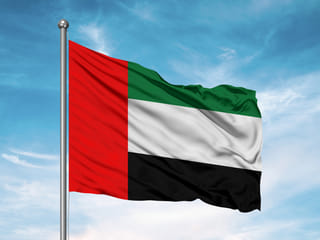 UAE flag