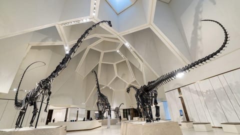 Natural History Museum Abu Dhabi unveils May workshops and family events
