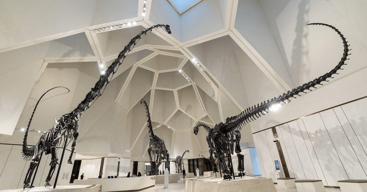 Natural History Museum Abu Dhabi unveils May workshops and family events