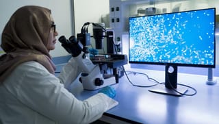 UAE boosts position in cutting-edge cell therapies