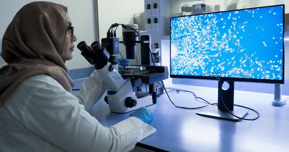 UAE boosts position in regenerative medicine, stem cell therapies