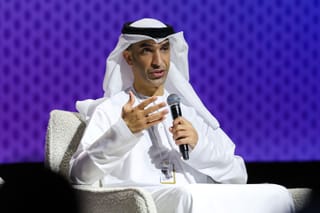 UAE to unveil major domestic investment projects