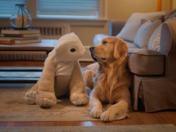 New startup introduces a home robot designed to comfort and connect.