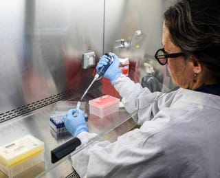 This handout picture released by Argentina's Health Ministry shows a scientist from the Malbran Institute handling containers used to diagnose the Andes hantavirus, which contain RNA from the Andes virus as part of the detection process, in Buenos Aires on May 6, 2026.