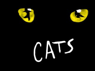 Based on T.S. Eliot’s poetry, Cats invites you to the Jellicle Ball, a whimsical midnight scrapheap gathering