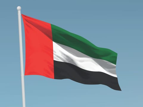UAE establishes national committee to document aggression, international crimes